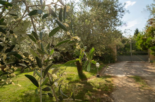 Foto 35 - Appartamento con 1 camera da letto a Collecorvino con piscina e giardino