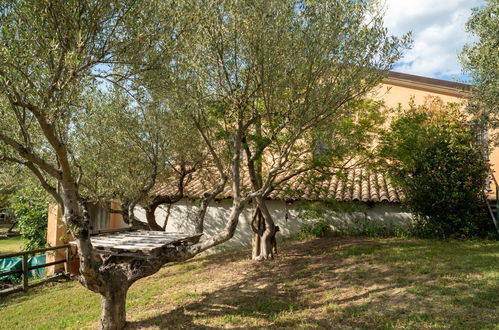 Foto 41 - Appartamento con 1 camera da letto a Collecorvino con piscina e giardino