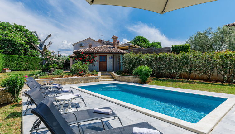 Photo 1 - Maison de 2 chambres à Sveti Lovreč avec piscine privée et vues à la mer