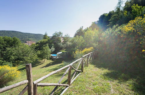 Foto 53 - Casa de 3 quartos em Monticiano com piscina privada e jardim