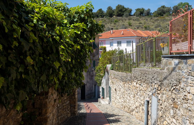 Casa de 4 quartos em Cipressa com jardim e terraço - Foto 15