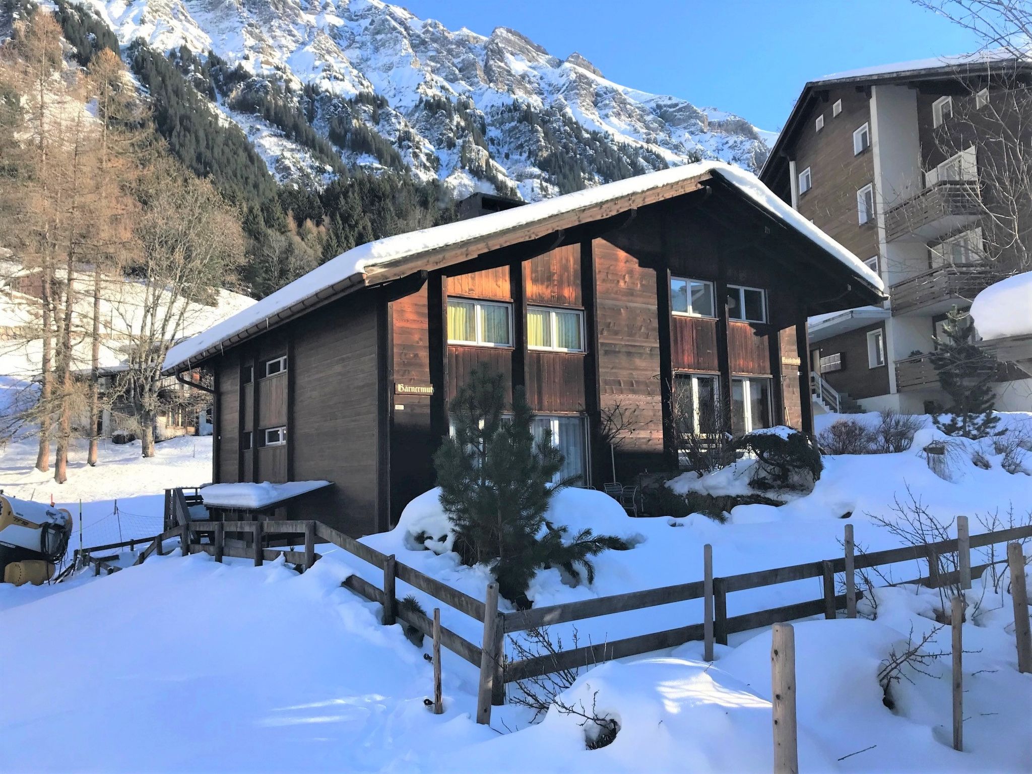 Foto 20 - Apartamento de 3 quartos em Lauterbrunnen com jardim