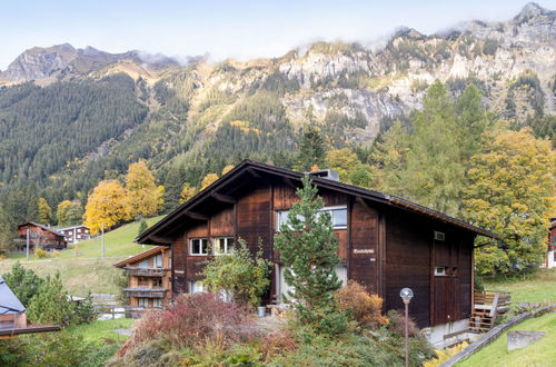 Foto 5 - Appartamento con 3 camere da letto a Lauterbrunnen con giardino