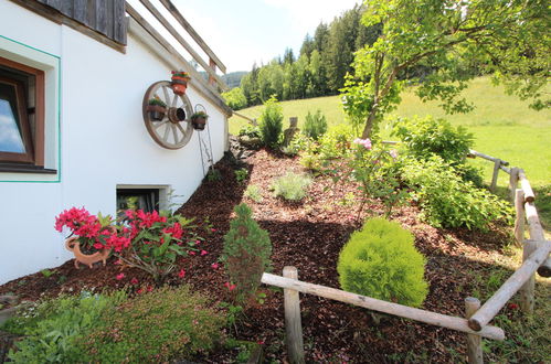 Photo 12 - Appartement de 2 chambres à Aschau im Zillertal avec jardin et vues sur la montagne