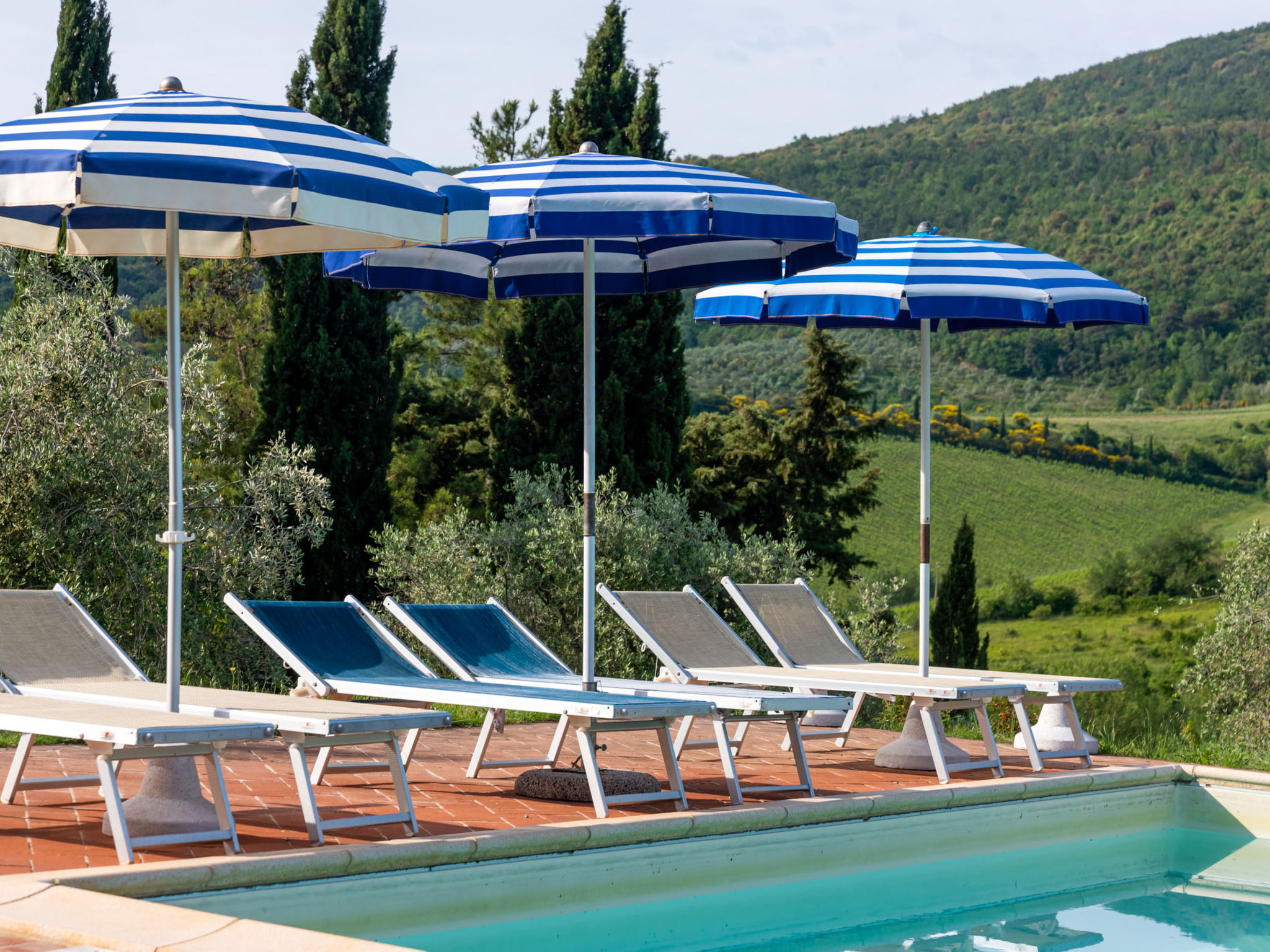 Photo 3 - Appartement de 4 chambres à San Gimignano avec piscine et jardin