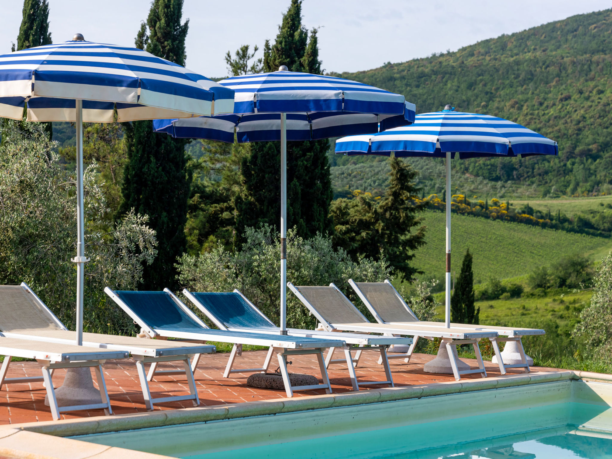 Photo 6 - Appartement de 2 chambres à San Gimignano avec piscine et jardin