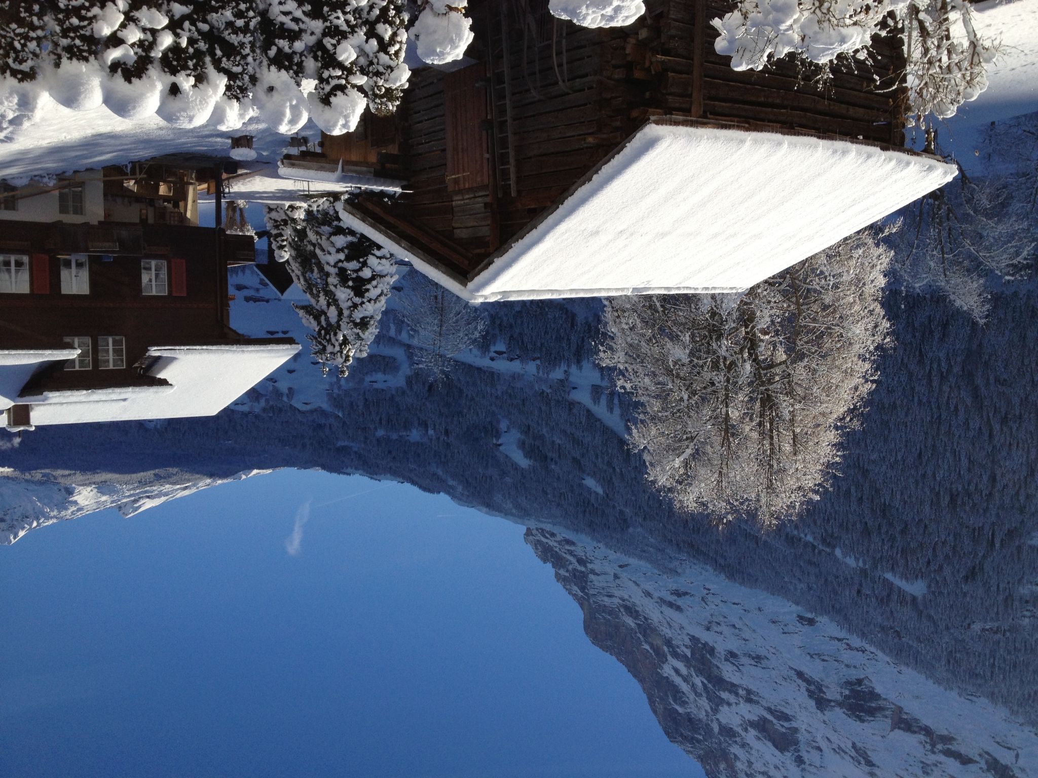 Foto 19 - Apartamento em Grindelwald com jardim e vista para a montanha
