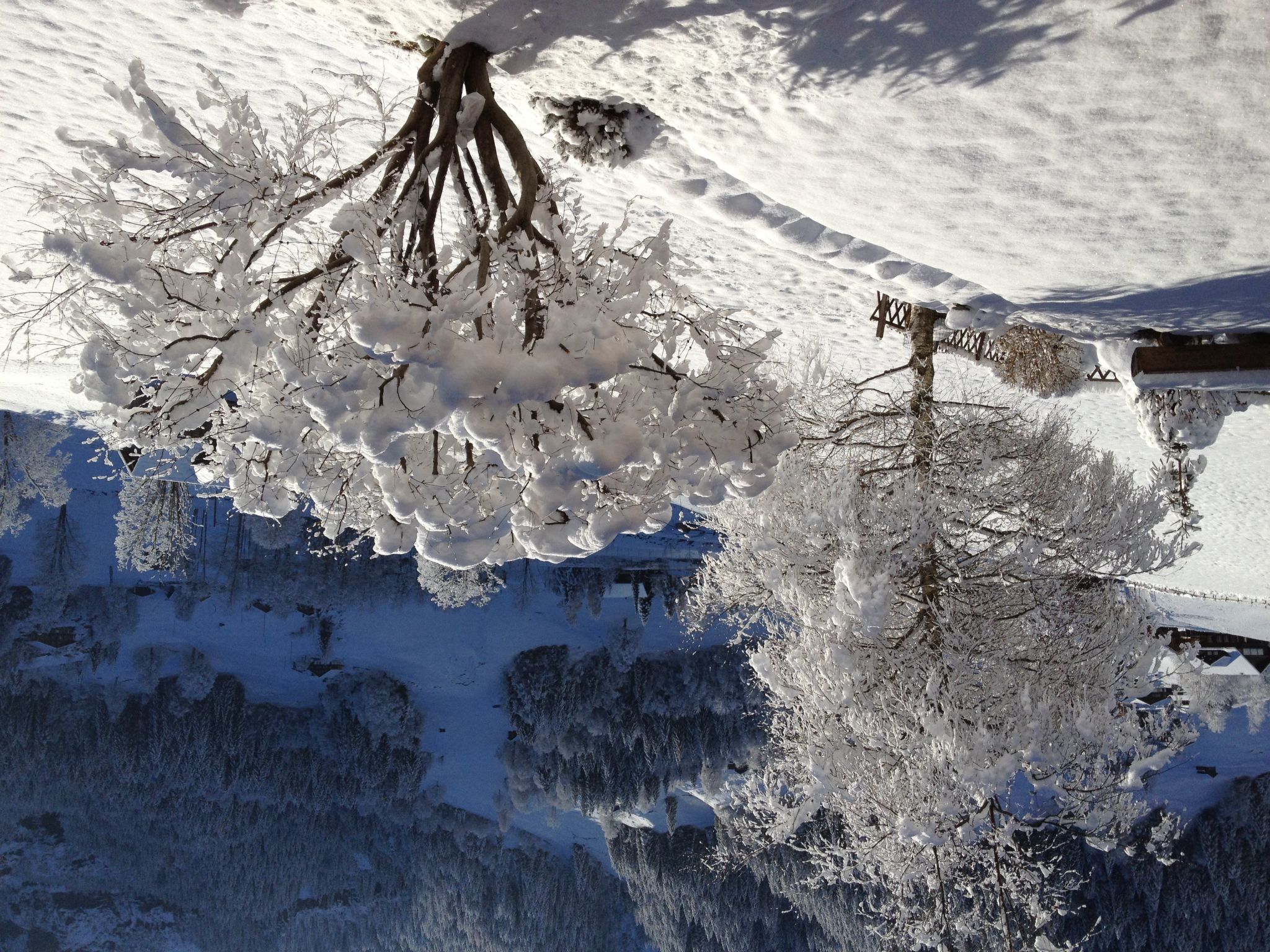 Photo 22 - Apartment in Grindelwald with garden