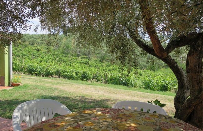 Apartamento de 3 quartos em Certaldo com piscina e jardim - Foto 31