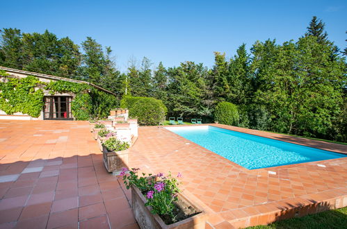 Foto 44 - Casa de 1 habitación en Colle di Val d'Elsa con piscina y jardín