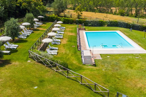 Photo 33 - Maison de 2 chambres à Castelfiorentino avec piscine et jardin