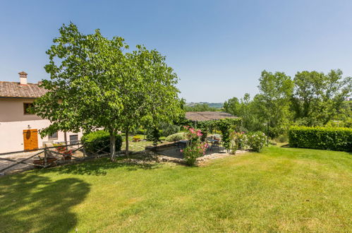 Foto 51 - Casa con 2 camere da letto a Castelfiorentino con piscina e giardino