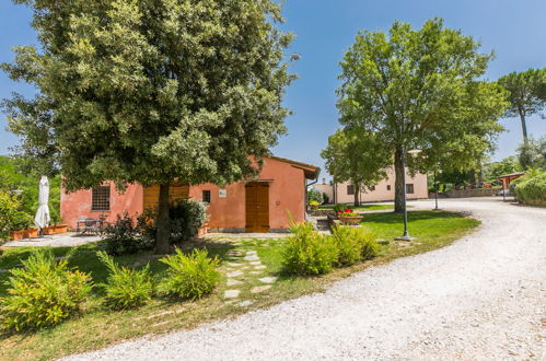 Foto 49 - Appartamento con 2 camere da letto a Castelfiorentino con piscina e giardino