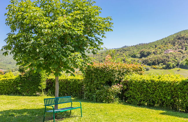 Casa de 2 quartos em Volterra com piscina e jardim - Foto 32