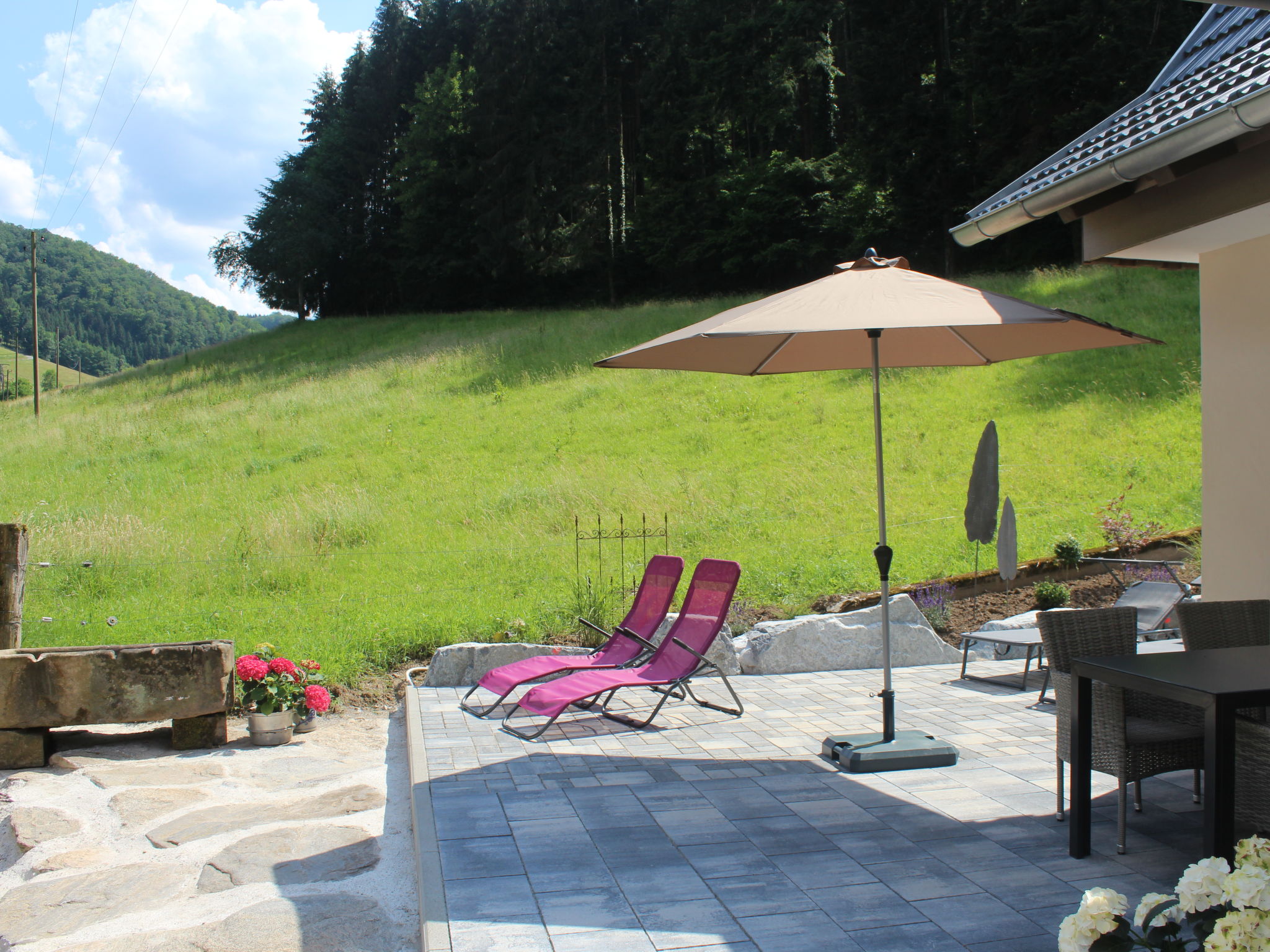 Photo 25 - Maison de 1 chambre à Hofstetten avec jardin et terrasse