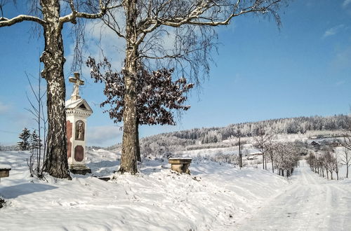 Foto 75 - Casa con 7 camere da letto a Úhlejov con piscina privata e giardino