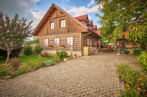 Foto 52 - Casa con 7 camere da letto a Úhlejov con piscina privata e giardino