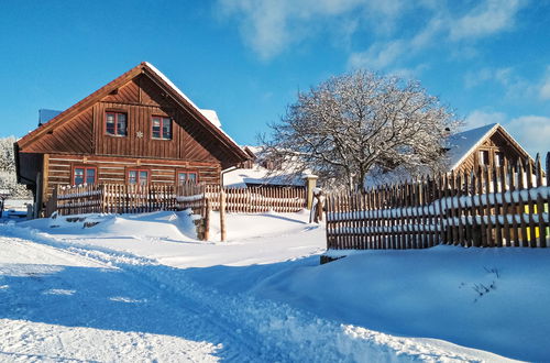 Foto 67 - Casa con 7 camere da letto a Úhlejov con piscina privata e giardino