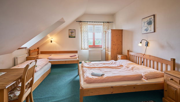 Haus mit 7 Schlafzimmern in Úhlejov mit privater pool und garten - Foto 5