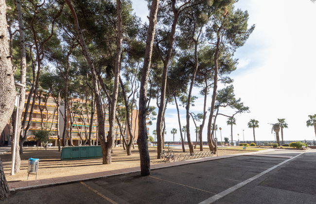 Apartamento de 5 quartos em Torredembarra com piscina e jardim - Foto 50