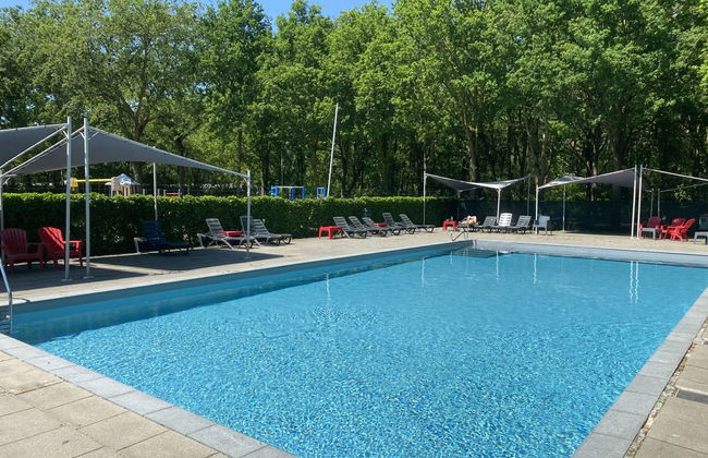 Haus mit 4 Schlafzimmern in Udenhout mit schwimmbad und garten - Foto 4
