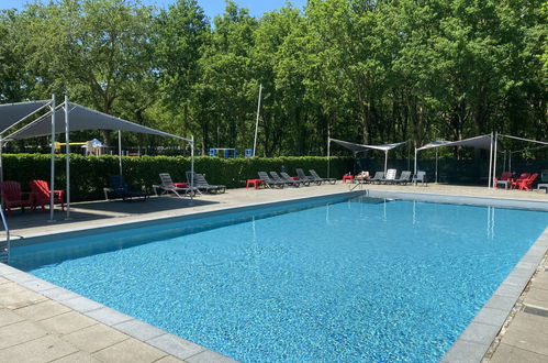 Photo 4 - Maison de 3 chambres à Udenhout avec piscine et terrasse