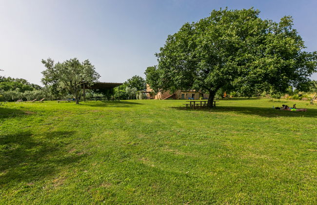 Apartamento de 1 quarto em Sorano com piscina e jardim - Foto 34