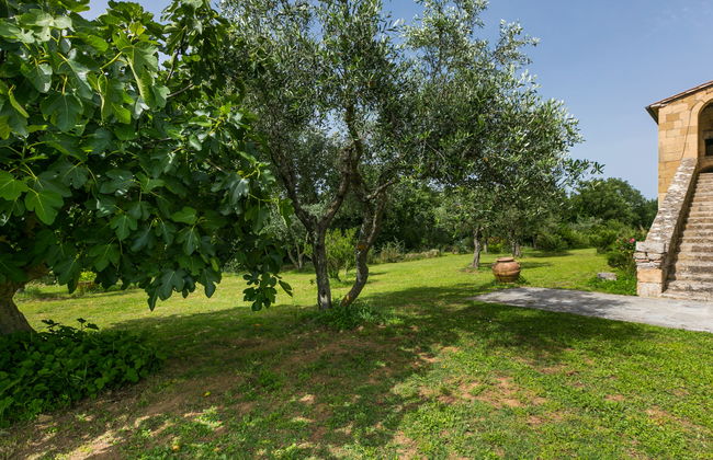Apartamento de 1 quarto em Sorano com piscina e jardim - Foto 31