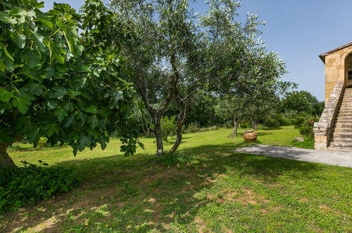 Foto 31 - Appartamento con 1 camera da letto a Sorano con piscina e giardino