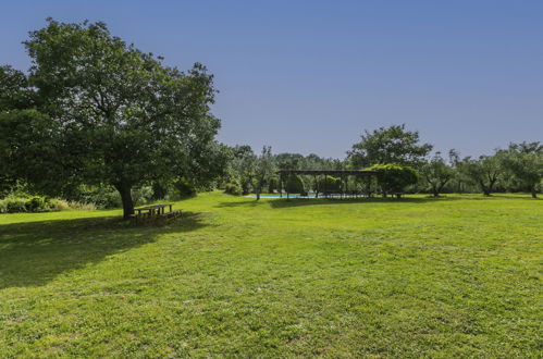 Foto 50 - Casa con 3 camere da letto a Sorano con piscina e giardino