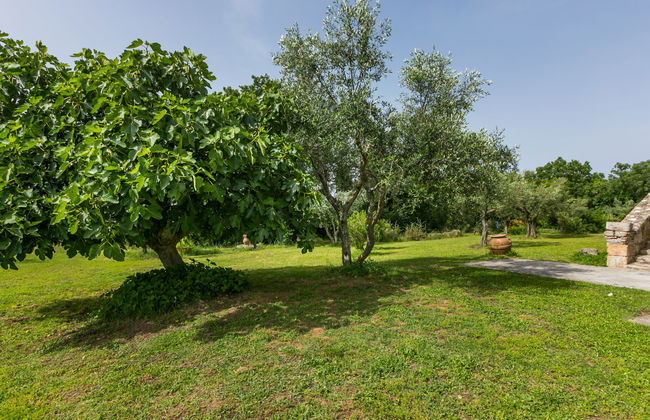 Apartamento de 1 quarto em Sorano com piscina e jardim - Foto 28
