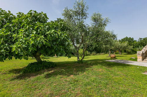 Foto 28 - Appartamento con 1 camera da letto a Sorano con piscina e giardino