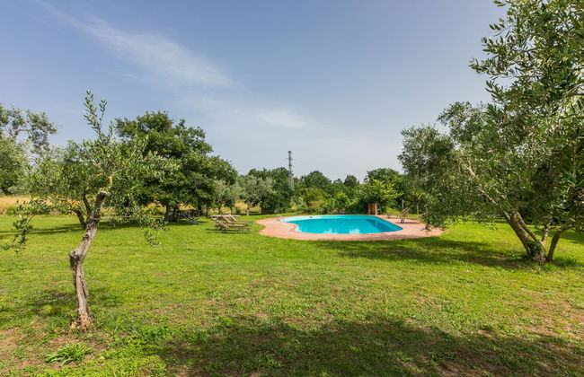 Apartamento de 1 quarto em Sorano com piscina e jardim - Foto 22