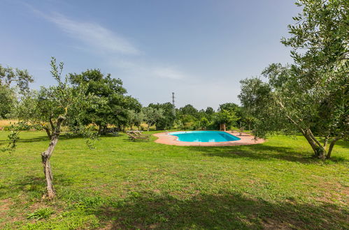 Foto 48 - Casa de 3 habitaciones en Sorano con piscina y jardín