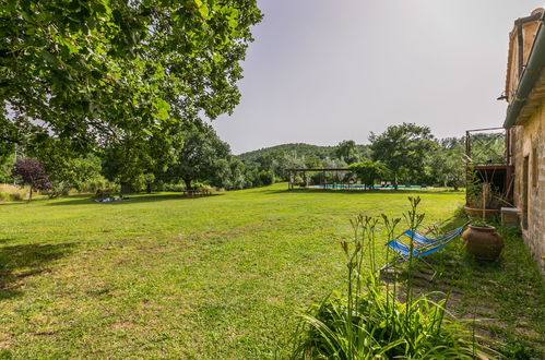 Foto 44 - Casa de 3 habitaciones en Sorano con piscina y jardín