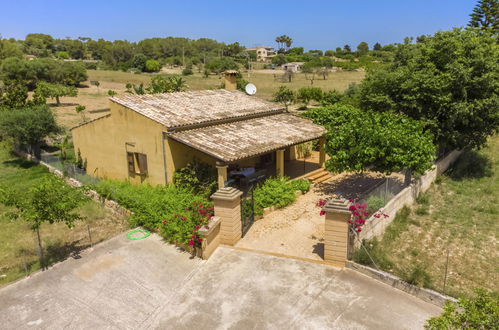 Foto 24 - Casa con 2 camere da letto a Santa Margalida con piscina privata e giardino