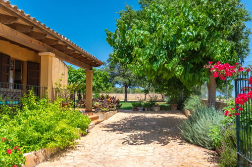 Foto 21 - Casa de 2 quartos em Santa Margalida com piscina privada e jardim