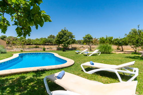 Photo 17 - 2 bedroom House in Santa Margalida with private pool and garden