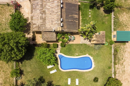 Photo 23 - Maison de 2 chambres à Santa Margalida avec piscine privée et vues à la mer