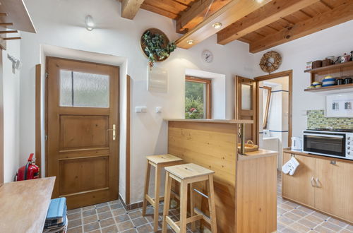 Photo 22 - Maison de 1 chambre à Bechyně avec jardin et terrasse