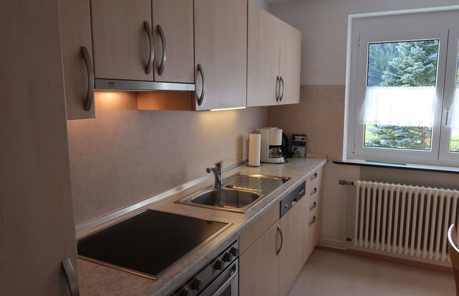Apartamento de 3 quartos em Eisenbach (Hochschwarzwald) com jardim - Foto 25
