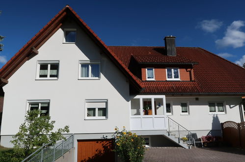 Foto 21 - Apartamento de 3 habitaciones en Eisenbach (Hochschwarzwald) con vistas a la montaña