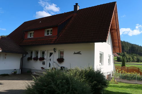 Foto 23 - Appartamento con 3 camere da letto a Eisenbach (Hochschwarzwald) con vista sulle montagne