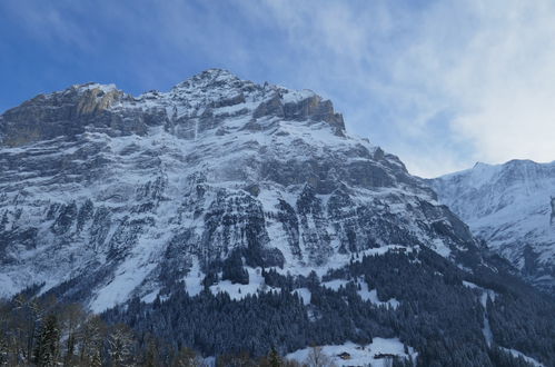 Foto 22 - Apartamento de 2 habitaciones en Grindelwald con vistas a la montaña