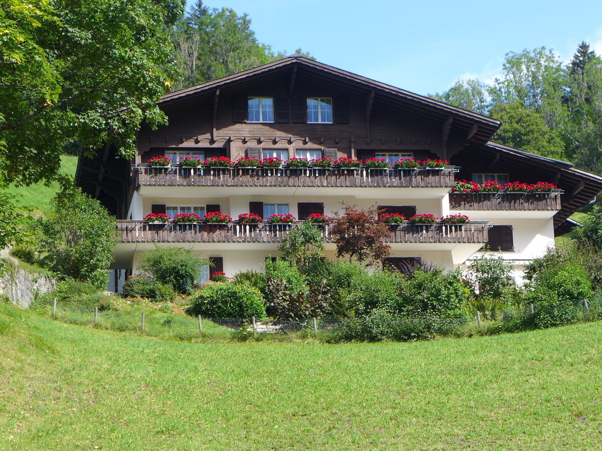 Photo 1 - Appartement de 2 chambres à Grindelwald avec vues sur la montagne