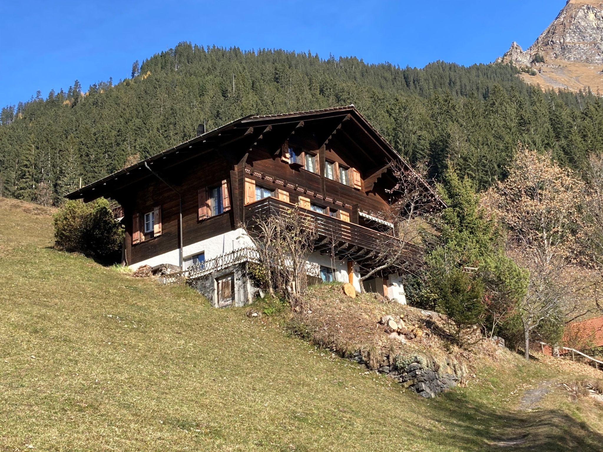 Foto 5 - Apartamento de 1 quarto em Lauterbrunnen com jardim e vista para a montanha