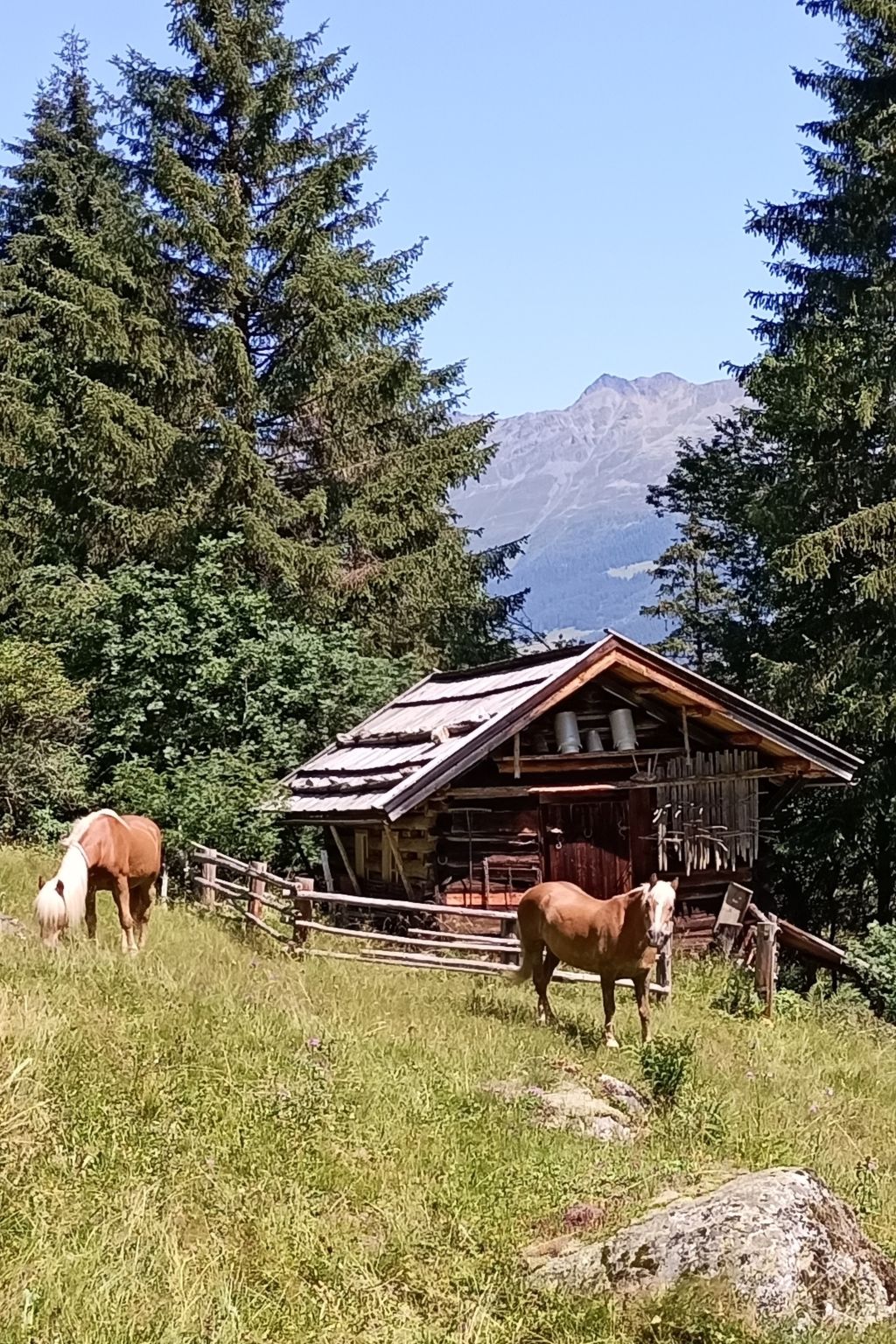 Foto 29 - Apartamento de 2 quartos em Kaunertal com jardim