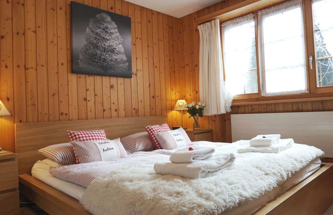Apartamento de 2 quartos em Zweisimmen - Foto 28