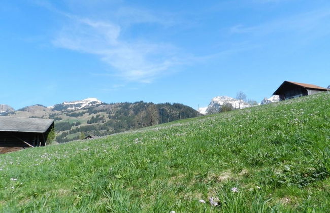 Apartamento de 2 quartos em Zweisimmen - Foto 19