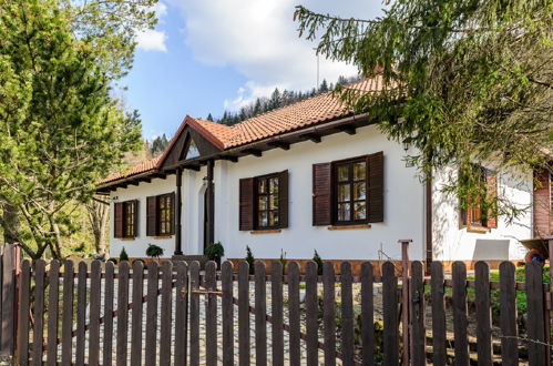 Foto 10 - Haus mit 4 Schlafzimmern in Maków Podhalański mit garten und blick auf die berge